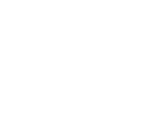 Double A Solution